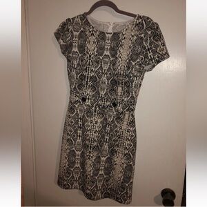 City Vibe Womens Size 5 Short Sleeve Snake Print Buisness Dress